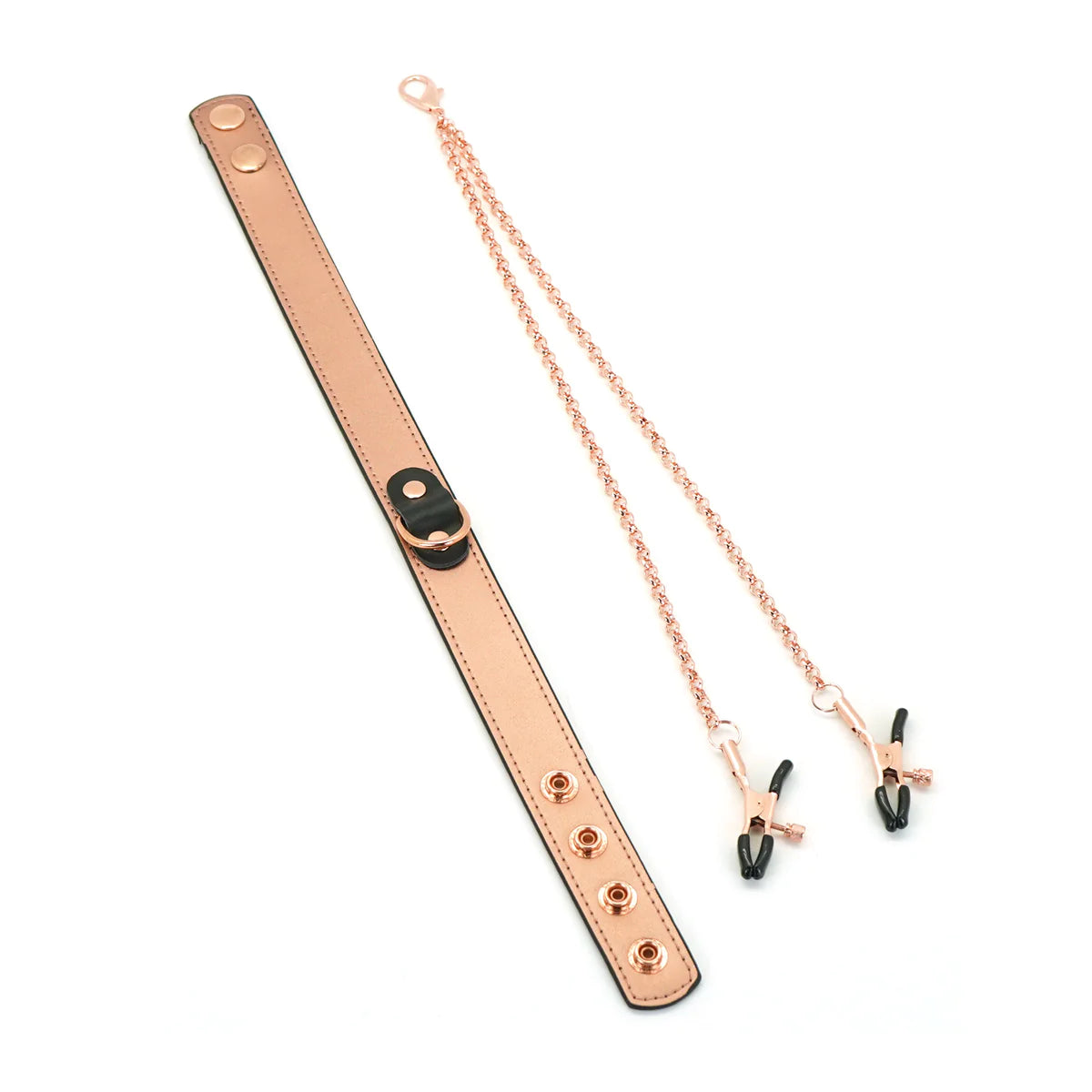 Rose Gold Memory Collar with Nipple Clamps Kink by Liebe Seele- The Nookie