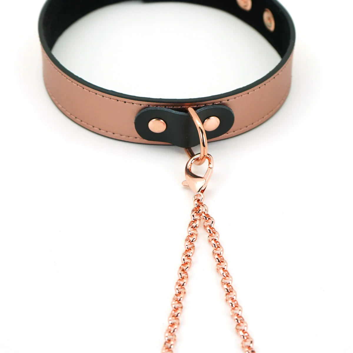 Rose Gold Memory Collar with Nipple Clamps Kink by Liebe Seele- The Nookie