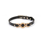 Luxury Rhinestone Gold Clasp Collar Kink by Liebe Seele- The Nookie