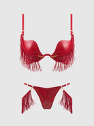Phoenix Faux Leather & Fringe Push Up Bra & Thong Set Lingerie by House of Desire- The Nookie
