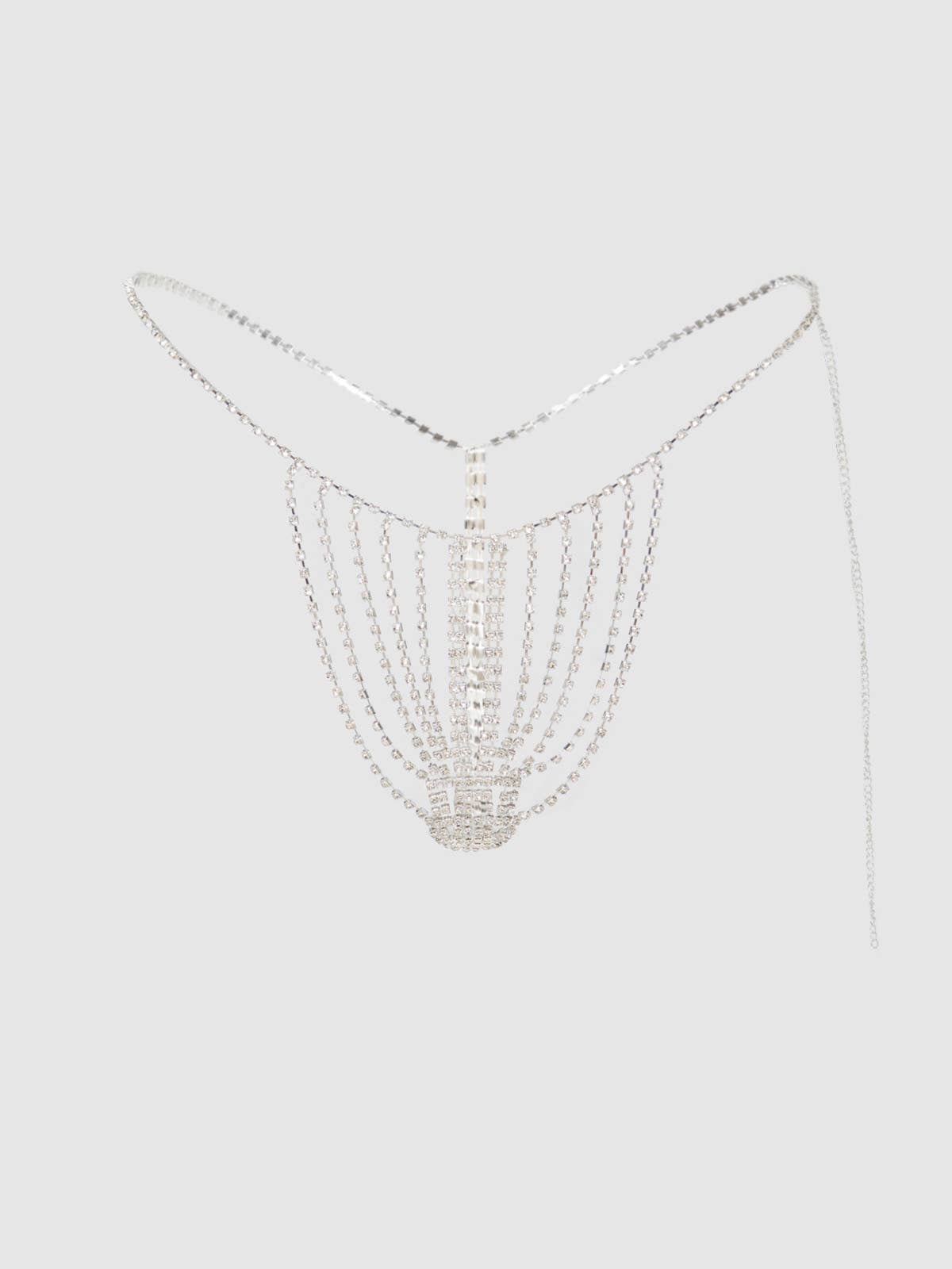 Rhinestone Vertical Thong in Silver Lingerie by House of Desire- The Nookie