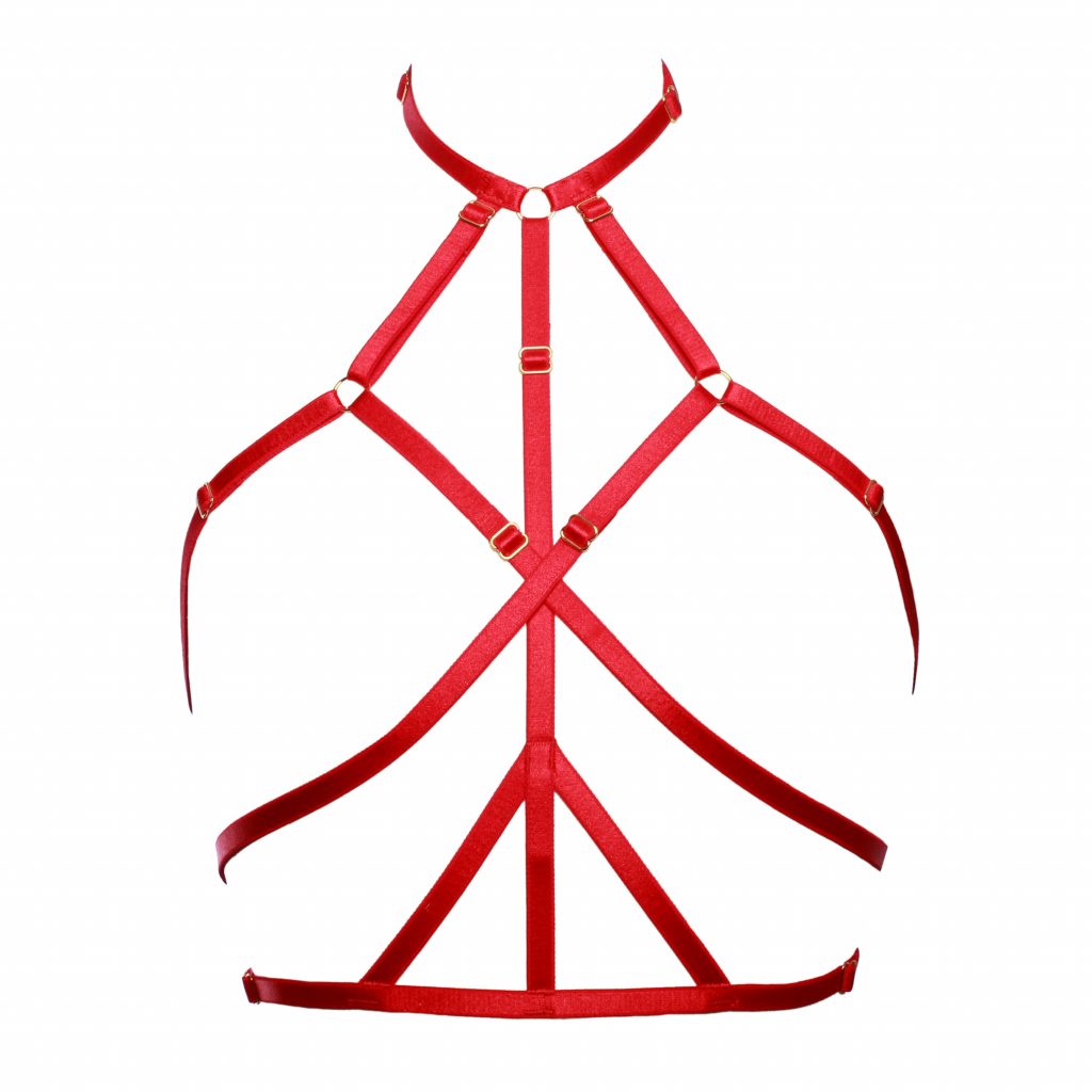 Red Ruby Harness with Gold Sliders Lingerie by Flash You & Me- The Nookie