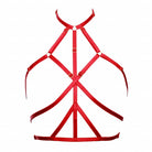 Red Ruby Harness with Gold Sliders Lingerie by Flash You & Me- The Nookie
