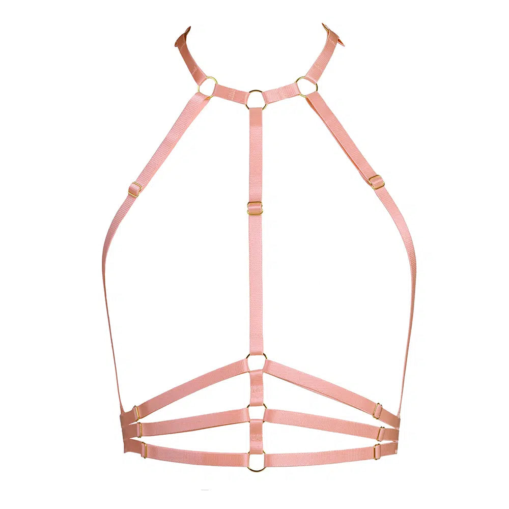 Samantha Harness in Peach with Golden Sliders Lingerie by Flash You & Me- The Nookie