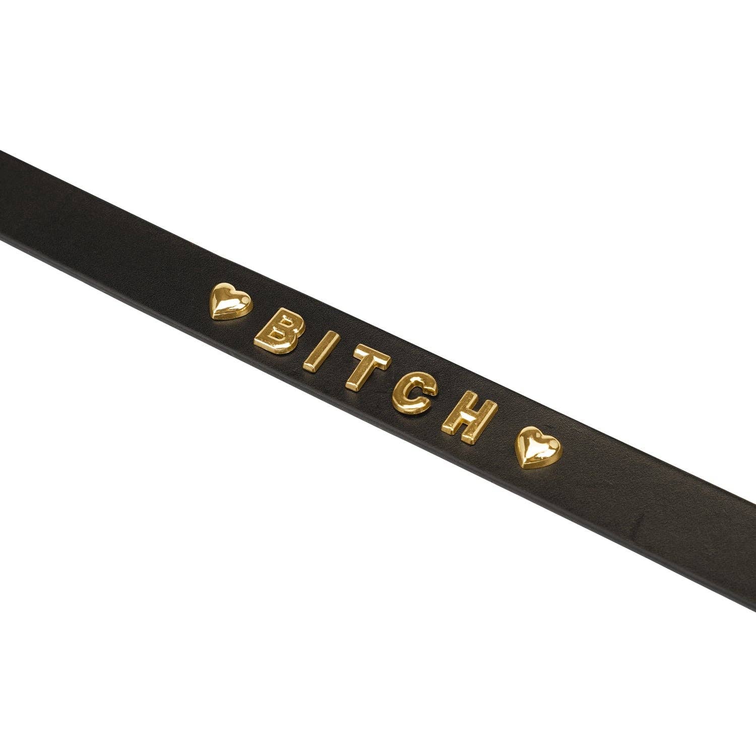 Gold BITCH Choker Kink by Liebe Seele- The Nookie