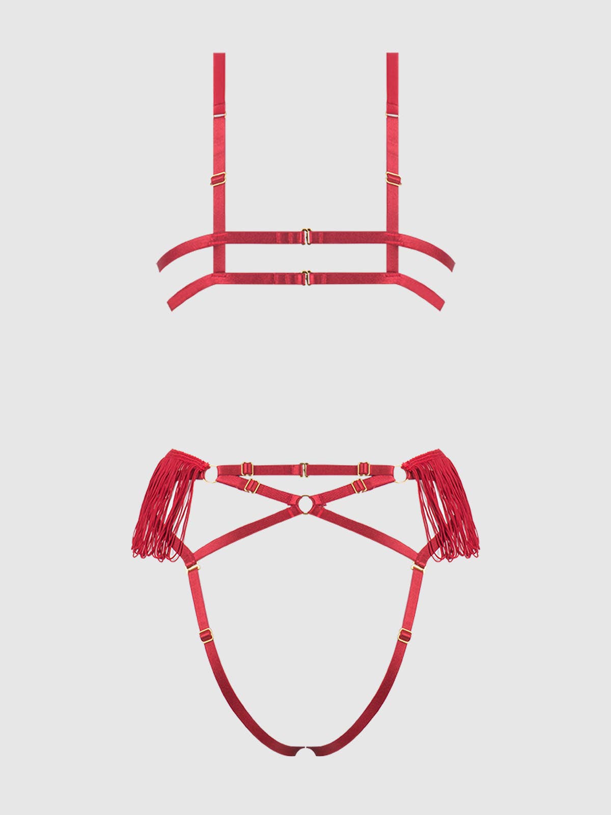 Phoenix Faux Leather & Fringe Crotchless Teddy Lingerie by House of Desire- The Nookie