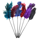 Red Ostrich Tickler Kink by Sportsheets- The Nookie