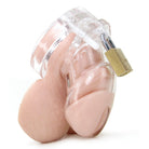 CB-6000S Male Chastity Device Kink by A.L Enterprises- The Nookie
