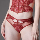 Eye Candy Panty Lingerie by Thistle & Spire- The Nookie