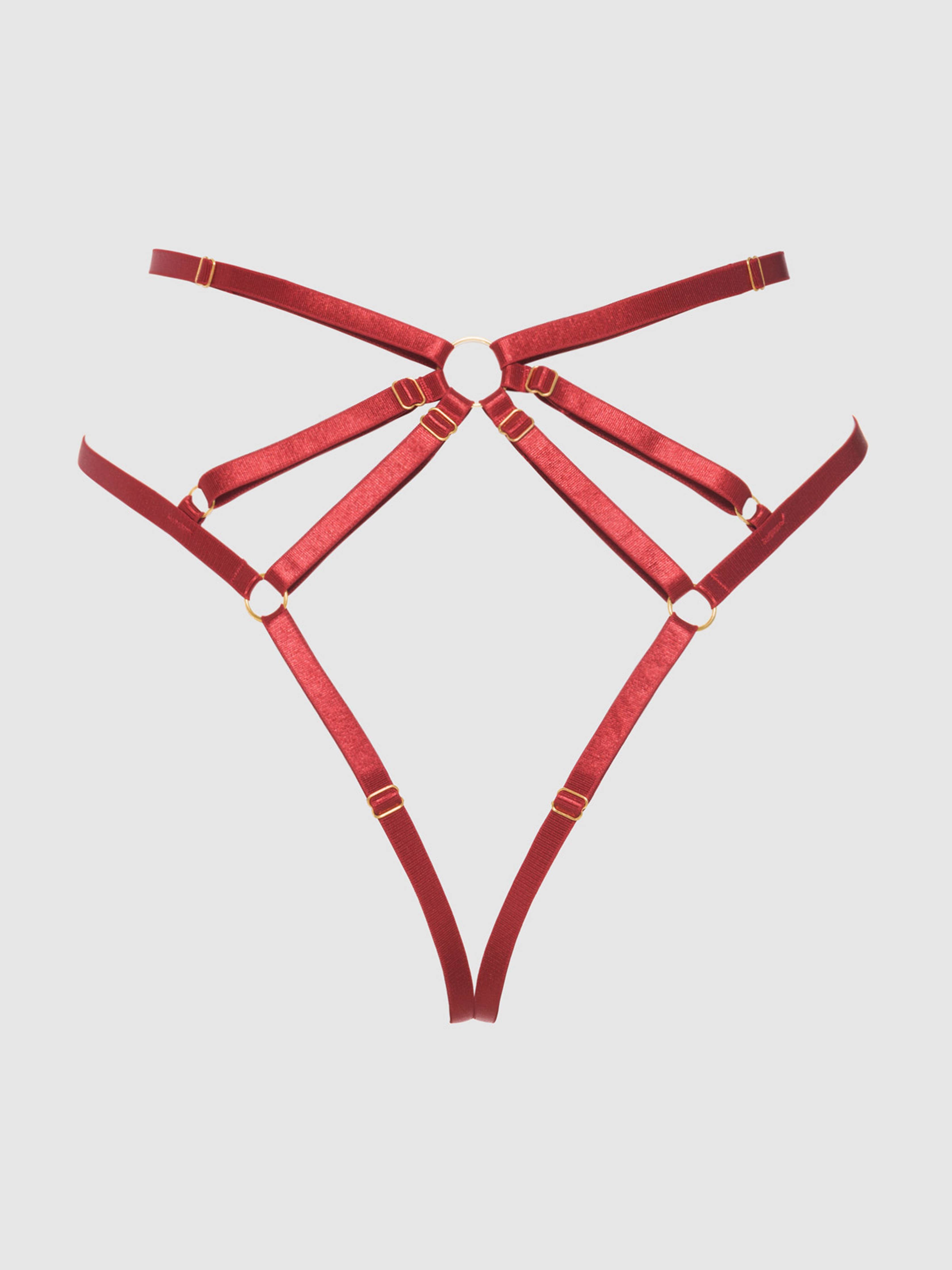 Rosalie Embroidered Lace Strappy Backless Tanga Lingerie by House of Desire- The Nookie