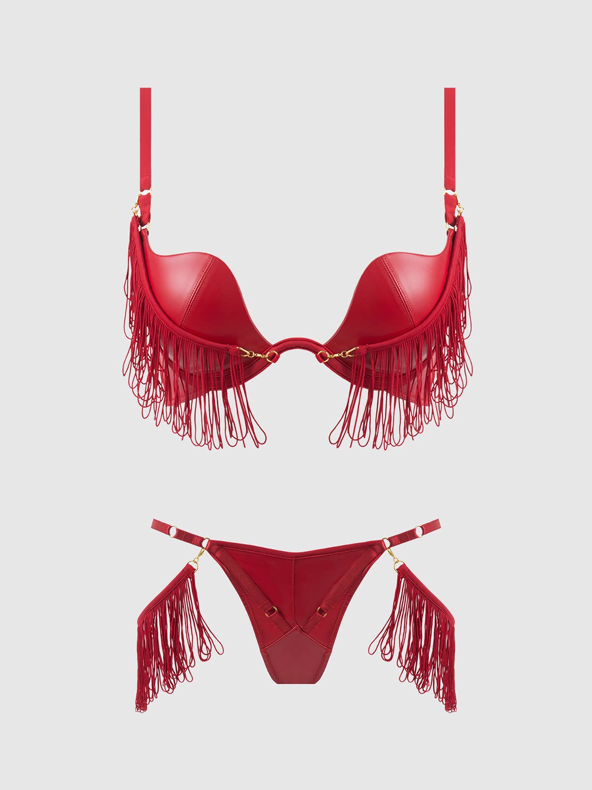 Phoenix Faux Leather & Fringe Push Up Bra & Thong Set Lingerie by House of Desire- The Nookie