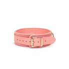  Pink Dream Collar and Leash Kink by Liebe Seele- The Nookie