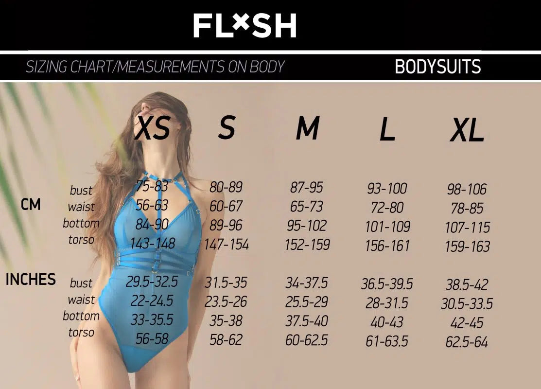 Black Mesh Bodysuit With Layering Lingerie by Flash You & Me- The Nookie