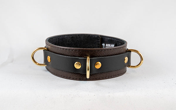  Steam Punk Collar Kink by Aslan Leather- The Nookie