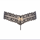 Bettie Page Brief Lingerie by Bracli- The Nookie