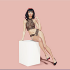 Bettie Page Brief Lingerie by Bracli- The Nookie