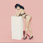 Bettie Page Brief Lingerie by Bracli- The Nookie