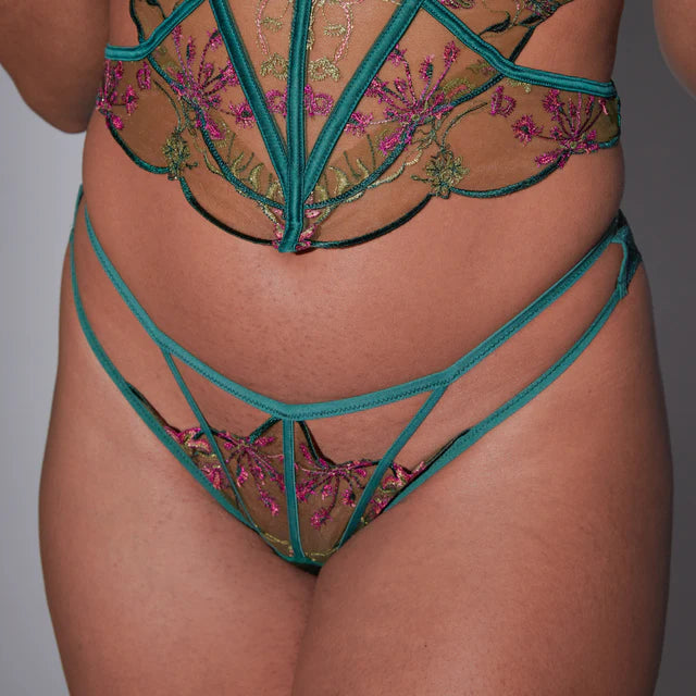  Venus Panty Lingerie by Thistle & Spire- The Nookie