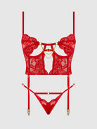 Cecily Lace & Chain Bustier & Hipster Set in Red Lingerie by House of Desire- The Nookie