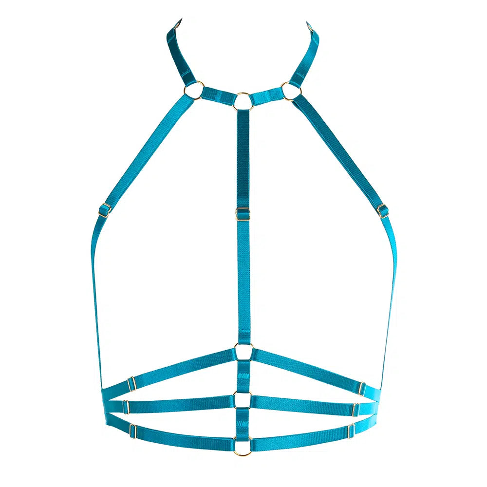 Samantha Harness in Deep Water with Golden Sliders Lingerie by Flash You & Me- The Nookie