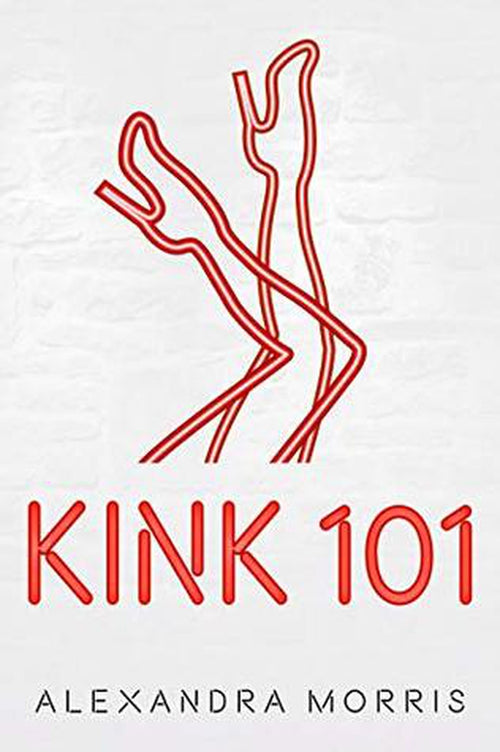  Kink 101 Book by More Sex More Fun Book Club- The Nookie