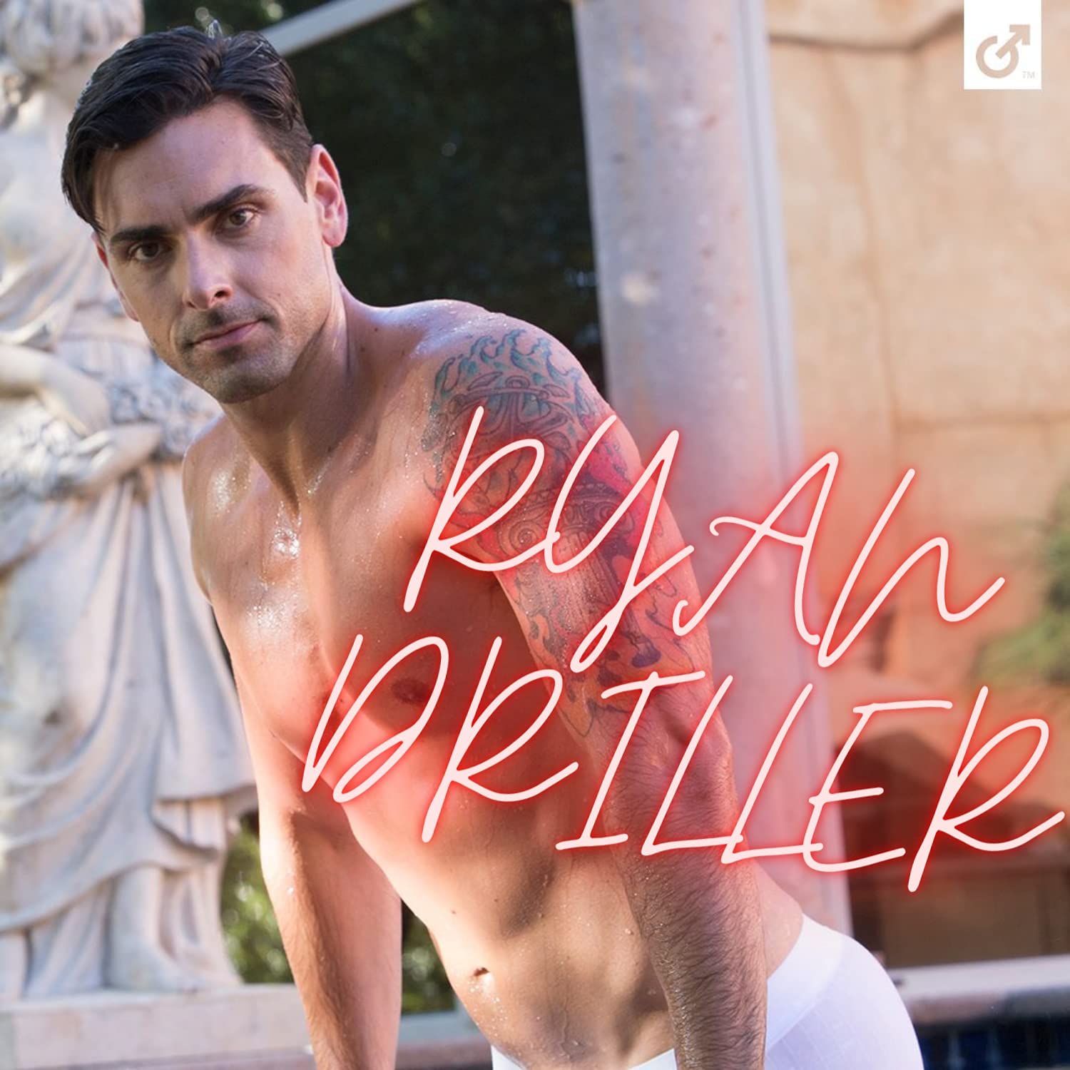  Ryan Driller Dildo by Fleshlight- The Nookie