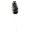  Black Ostrich Tickler Kink by Sportsheets- The Nookie